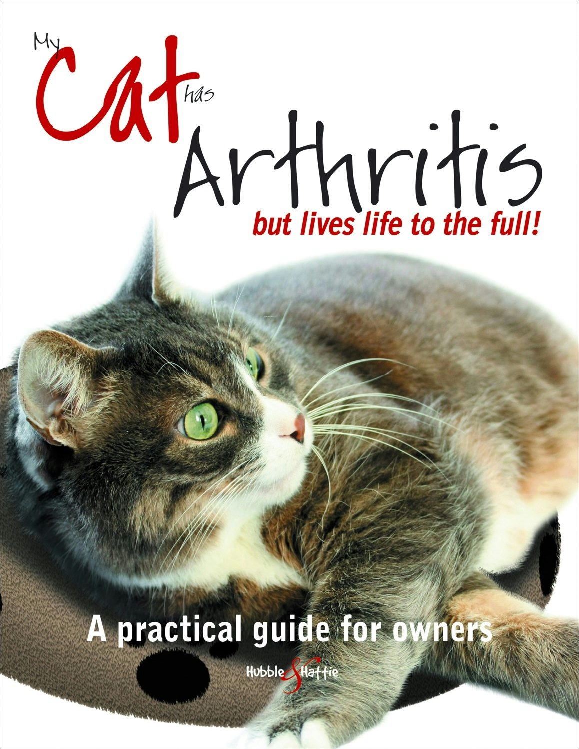 Book cover image for My cat has arthritis ... ISBN: 9781845848484